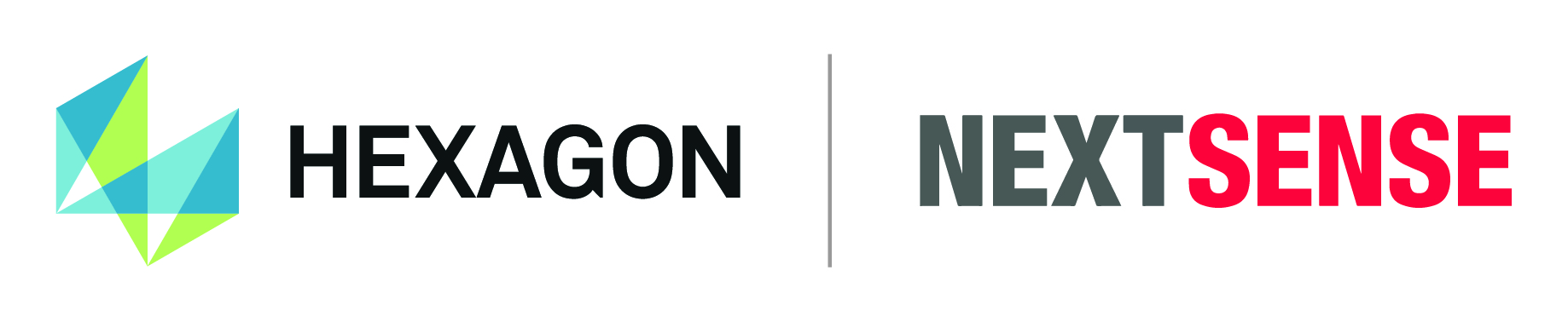 logo Hexagon-Nextense